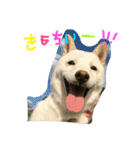 まさるとまいにち（個別スタンプ：38）