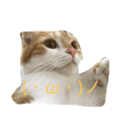 可愛いきなこ（個別スタンプ：2）