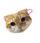 可愛いきなこ（個別スタンプ：3）