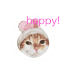 可愛いきなこ（個別スタンプ：4）