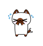 Shi-katz（個別スタンプ：14）