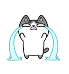 Shi-katz（個別スタンプ：15）
