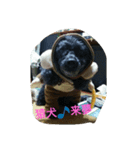 kurumi,rimu,jj（個別スタンプ：6）