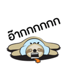 SpeeDev（個別スタンプ：20）
