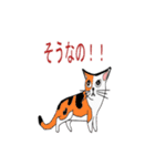 Combination of dogs and cats（個別スタンプ：5）