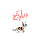Combination of dogs and cats（個別スタンプ：7）