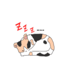 Combination of dogs and cats（個別スタンプ：13）