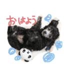 4姫の日常使えるスタンプ（個別スタンプ：6）
