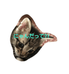 ポニーエンジェル★（個別スタンプ：3）