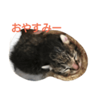 ポニーエンジェル★（個別スタンプ：4）