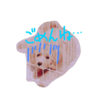 うちのもこ。~よく使う編~（個別スタンプ：5）