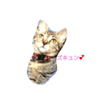 モカの使えるスタンプ（個別スタンプ：8）