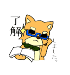 名犬ハリー（個別スタンプ：2）