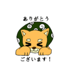 名犬ハリー（個別スタンプ：3）
