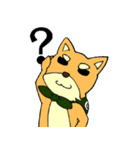 名犬ハリー（個別スタンプ：11）