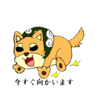 名犬ハリー（個別スタンプ：15）