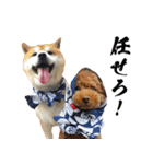 柴ヤン君 おじヤン！（個別スタンプ：15）