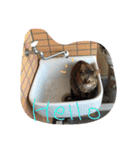 cat and my baby（個別スタンプ：2）