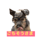 あすかファミリー（個別スタンプ：2）