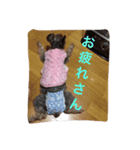 あすかファミリー（個別スタンプ：5）