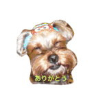 あすかファミリー（個別スタンプ：8）