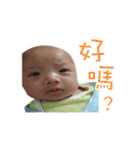 Rayray happy life（個別スタンプ：33）