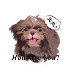 Wasabi My Shih Tzu（個別スタンプ：1）