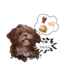 Wasabi My Shih Tzu（個別スタンプ：3）