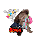 Wasabi My Shih Tzu（個別スタンプ：4）