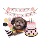 Wasabi My Shih Tzu（個別スタンプ：8）