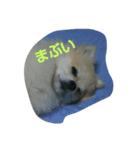 あんずとすもも（個別スタンプ：2）