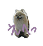 あんずとすもも（個別スタンプ：3）