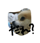 あんずとすもも（個別スタンプ：8）