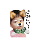 かずくんこどもスタンプ（個別スタンプ：7）