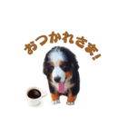 プリンセスサトコー（個別スタンプ：7）