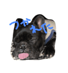 心が震える可愛さのボブ3（個別スタンプ：3）