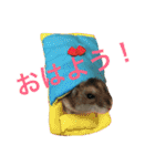 ハムスターいくらちゃん（個別スタンプ：11）