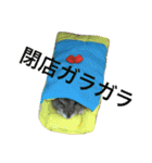 ハムスターいくらちゃん（個別スタンプ：12）