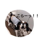 マメとあずき（個別スタンプ：22）