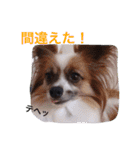 マメとあずき（個別スタンプ：29）