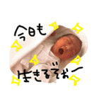 無邪気（個別スタンプ：18）
