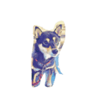 kuroshibasan（個別スタンプ：7）