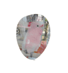 フクロウ 文鳥 犬（個別スタンプ：10）