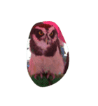 フクロウ 文鳥 犬（個別スタンプ：11）