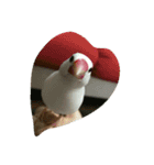 フクロウ 文鳥 犬（個別スタンプ：14）