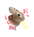 すぎさんちのかりんちゃんwithフレンズ（個別スタンプ：8）