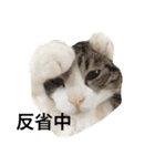 すぎさんちのかりんちゃんwithフレンズ（個別スタンプ：9）