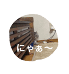 hijikihijikihijik4（個別スタンプ：6）