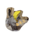hijikihijikihijik4（個別スタンプ：9）