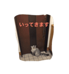 hijikihijikihijik4（個別スタンプ：14）